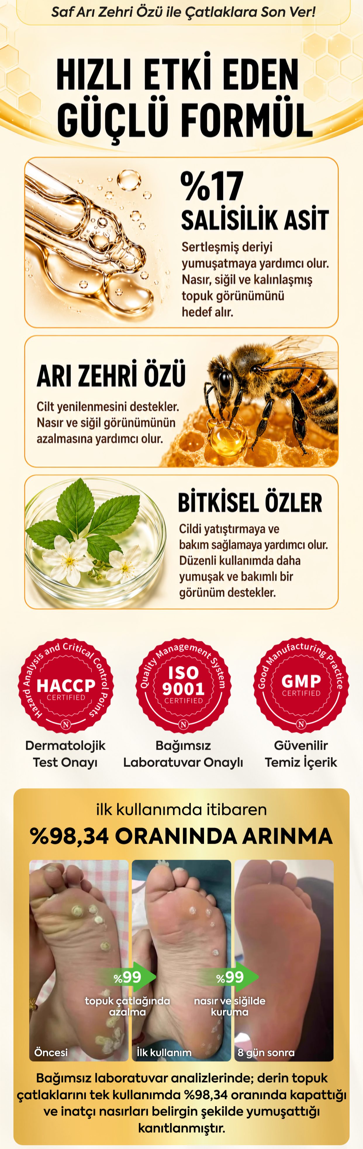 Promotional Imasge 1